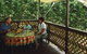 Chambers Wildlife Rainforest Lodges - thumb 4