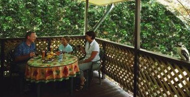 Chambers Wildlife Rainforest Lodges - South Australia Travel 4