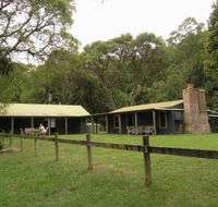 Tree Fern Lodge - South Australia Travel
