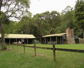 Tree Fern Lodge - South Australia Travel 0