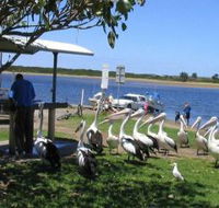 Mountain View Caravan and Mobile Home Village - South Australia Travel