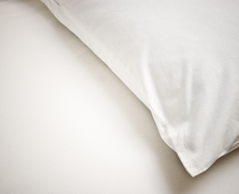 Kambah Inn - South Australia Travel 0