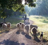 Brooloo Park - South Australia Travel