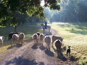 Brooloo Park - South Australia Travel 0