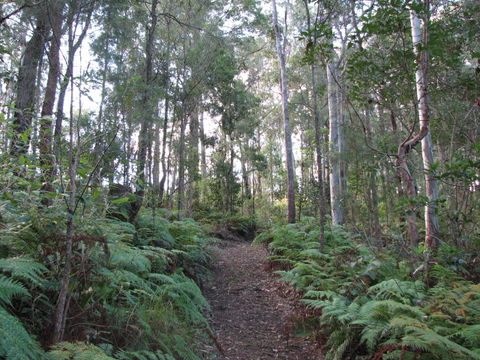 Maleny Country Cottages - South Australia Travel 1