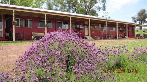 Last Stop Ambledown Brook - South Australia Travel 3