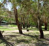 Woods Reserve - South Australia Travel