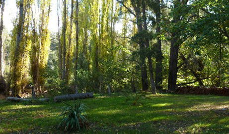 Old England Accommodation - South Australia Travel 2