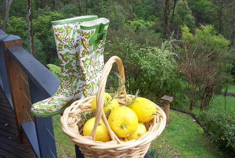 Bellbird Cottage Bed And Breakfast - South Australia Travel 4