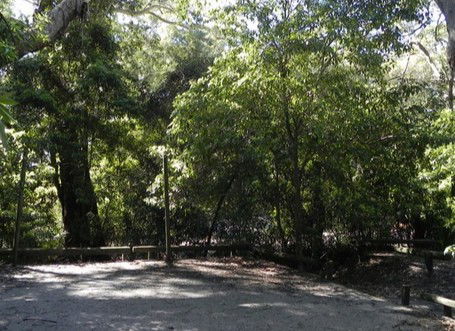 Booderee National Park: Green Patch Camping Area - South Australia Travel 0