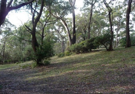 Booderee National Park: Green Patch Camping Area - South Australia Travel 3