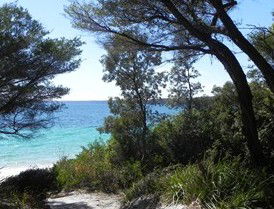 Booderee National Park: Bristol Point Camping Area - South Australia Travel 2
