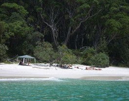 Booderee National Park: Bristol Point Camping Area - South Australia Travel 3
