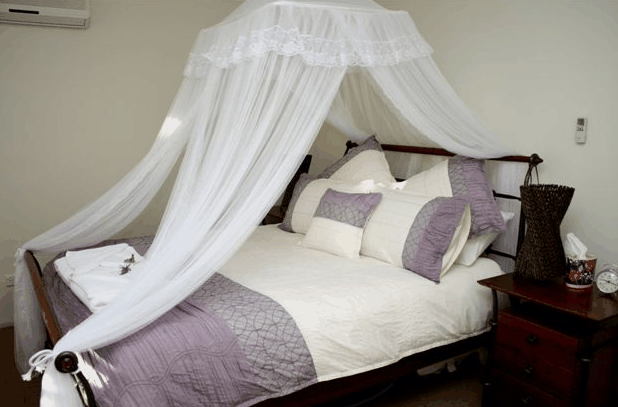 Ripples On The Creek - South Australia Travel 3