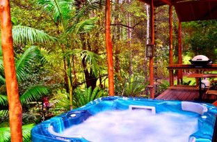 A Waterfall Hideout-Rainforest Cabin For Couples - South Australia Travel 5