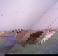 Seeview Farmstay - South Australia Travel