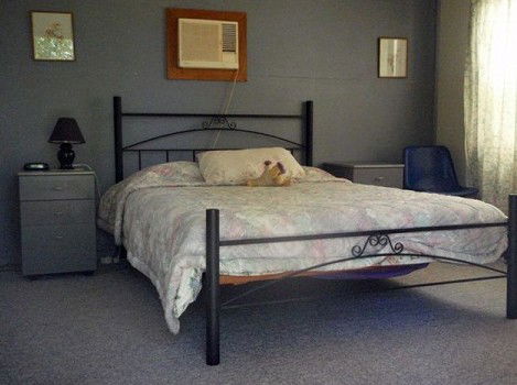 Comeroo Camel Station - South Australia Travel 0