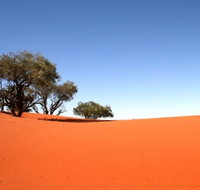 Theldarpa Stationstay - South Australia Travel