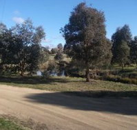 Delegate Caravan Park - South Australia Travel