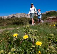 Horizons Apartment 407 - South Australia Travel