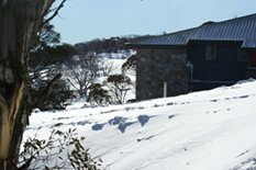Barina Milpara Lodge - South Australia Travel 0