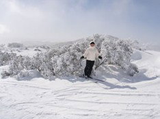 Barina Milpara Lodge - South Australia Travel 1