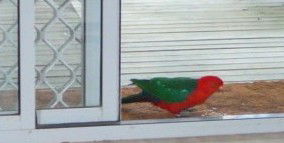 Azalea Cottage - South Australia Travel 5