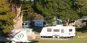 Bellinger River Tourist Park - South Australia Travel 3