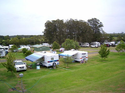 Dawson River Tourist Park - South Australia Travel 0