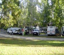 Corowa Caravan Park - South Australia Travel 5