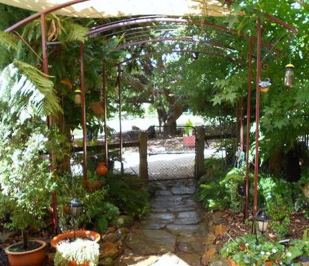 Hillview Oak Bed And Breakfast - South Australia Travel 1