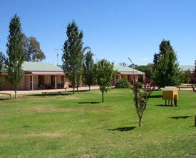 Narrandera Caravan Park - South Australia Travel 0