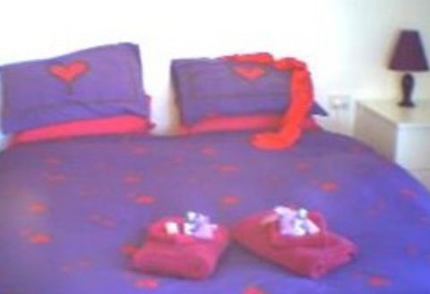 Aloomba Lavender - Accommodation - South Australia Travel 0