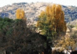 Nundle NSW South Australia Travel