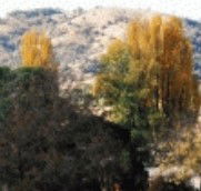 Birches Bed and Breakfast at Nundle - South Australia Travel