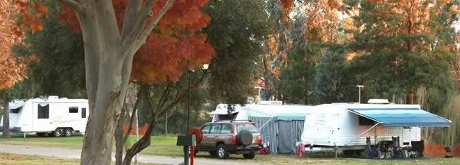 Tamworth NSW South Australia Travel