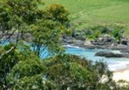 Aqua Bamboo - South Australia Travel 0