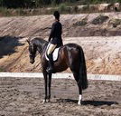 Apptrak Stud - South Australia Travel