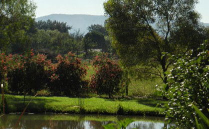 Amazing Country Escapes - Evanslea By The River - South Australia Travel 4