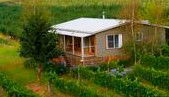 Borrodell Vineyard - Accommodation - South Australia Travel 0