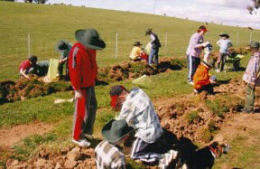 Banderra B And B Farmstay - South Australia Travel 0