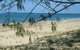 Seawinds Caravan Park - thumb 1