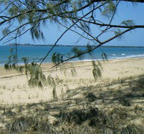 Seawinds Caravan Park - South Australia Travel 1