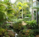Chamomile Bed and Breakfast - South Australia Travel