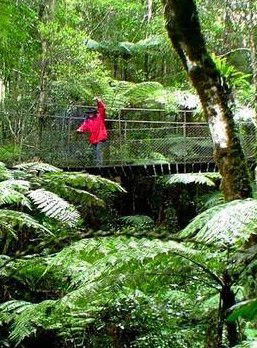Katandra Mountain Farm House - South Australia Travel 2
