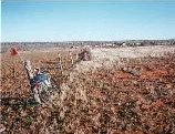 Epsilon Station - South Australia Travel 3