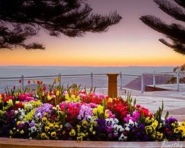 Harristown Guest Rooms - South Australia Travel 1