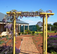 Lavendale Farmstay and Cottages - South Australia Travel