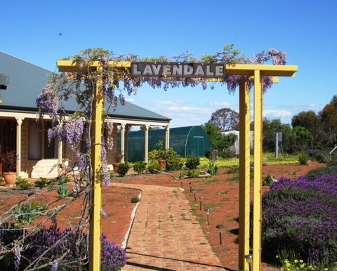 Lavendale Farmstay And Cottages - South Australia Travel 0