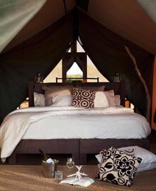 Sal Salis Ningaloo Reef - South Australia Travel 0